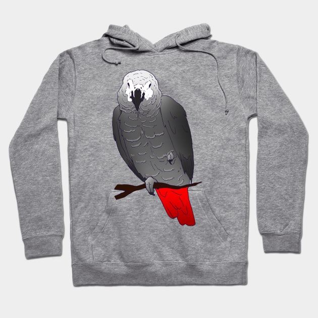 African Grey Parrot Perching and Sleeping on a Branch Hoodie by Einstein Parrot